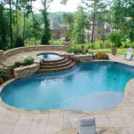 Custom Freeform Pool in Atlanta Georgia