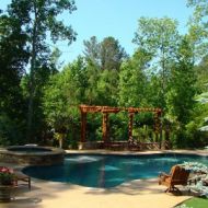 Freeform pool with hardscaping Atlanta Georgia
