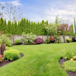 4 Ideas for a Summer Backyard Refresh